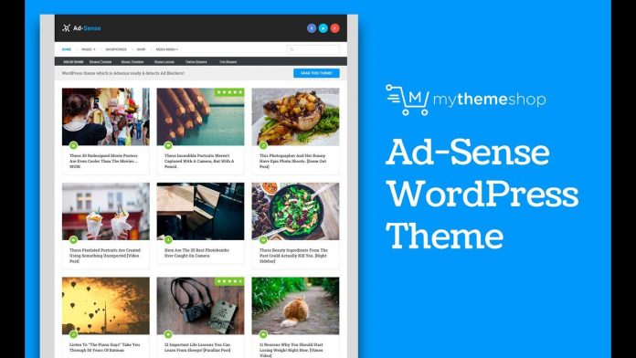 Theme wordpress