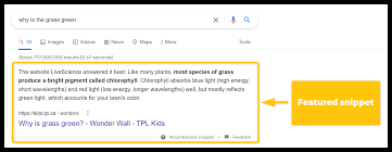 Featured Snippet